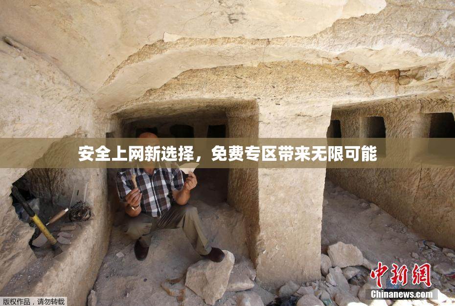安全上网新选择，免费专区带来无限可能