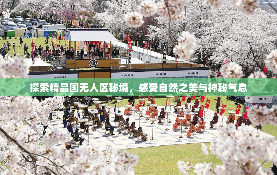 探索精品国无人区秘境，感受自然之美与神秘气息