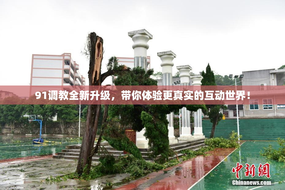 91调教全新升级，带你体验更真实的互动世界！