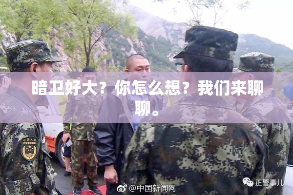 暗卫好大？你怎么想？我们来聊聊。