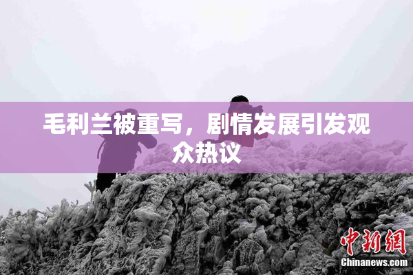 毛利兰被重写，剧情发展引发观众热议