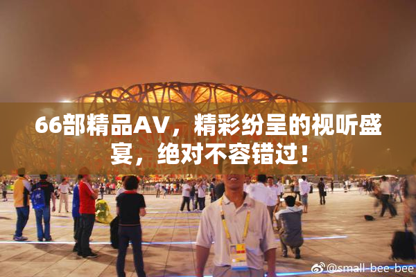 66部精品AV，精彩纷呈的视听盛宴，绝对不容错过！