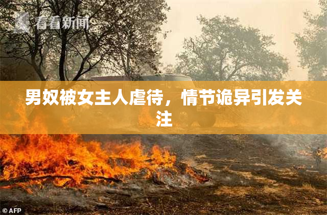 男奴被女主人虐待，情节诡异引发关注