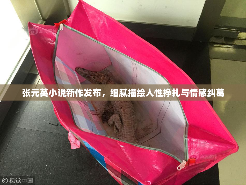 张元英小说新作发布，细腻描绘人性挣扎与情感纠葛