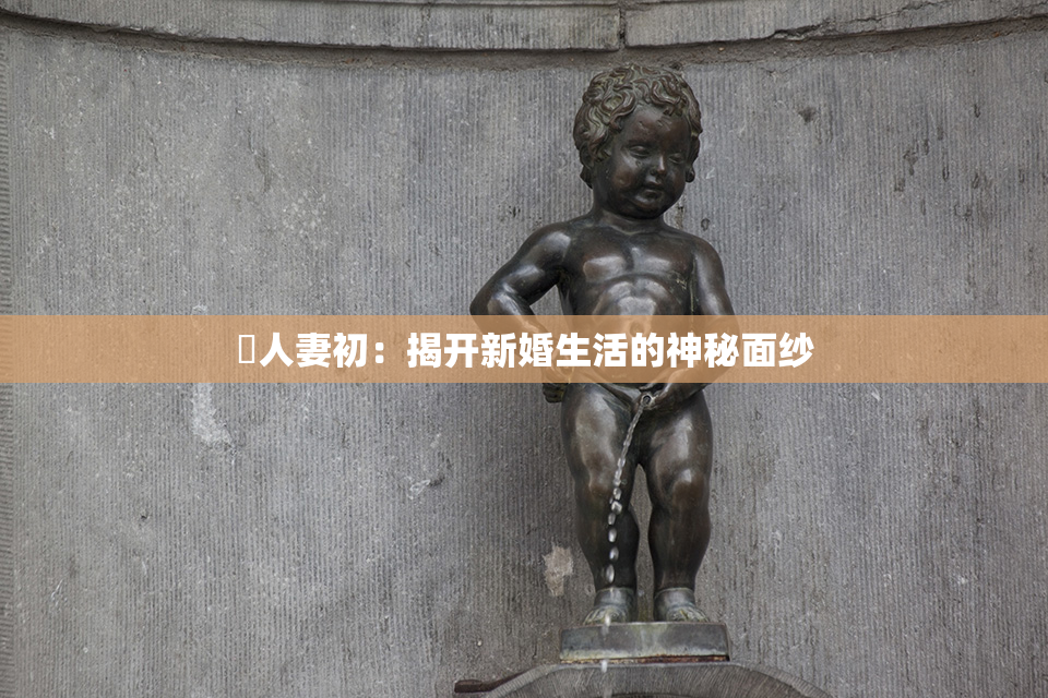 巜人妻初：揭开新婚生活的神秘面纱