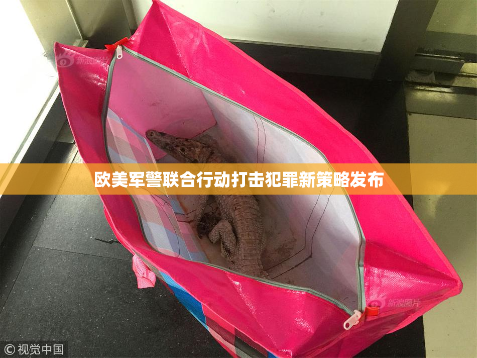 欧美军警联合行动打击犯罪新策略发布