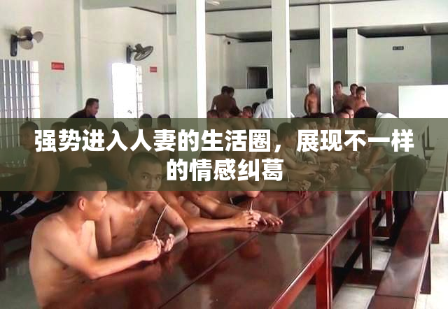 强势进入人妻的生活圈，展现不一样的情感纠葛