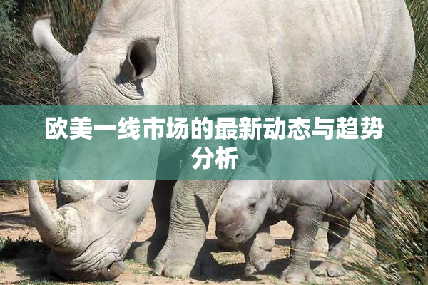 欧美一线市场的最新动态与趋势分析