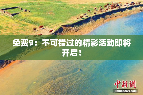 免费9：不可错过的精彩活动即将开启！