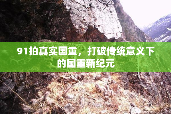 91拍真实国重，打破传统意义下的国重新纪元
