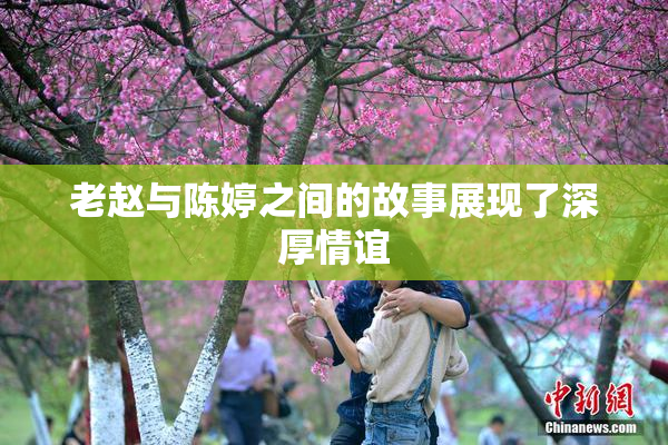 老赵与陈婷之间的故事展现了深厚情谊