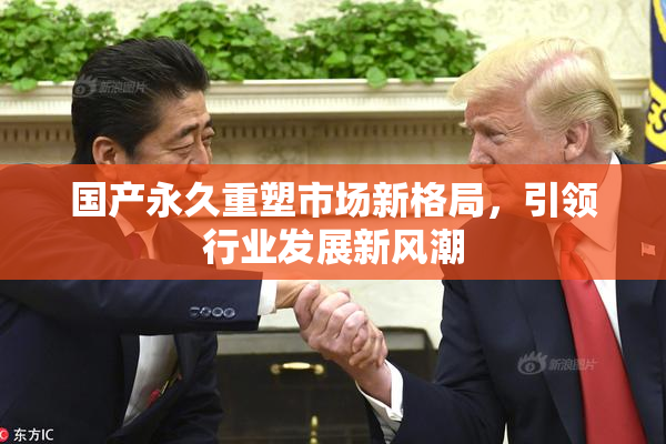 国产永久重塑市场新格局，引领行业发展新风潮