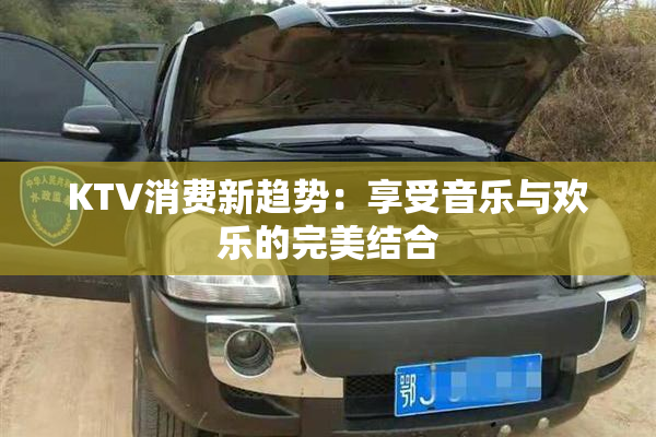 KTV消费新趋势：享受音乐与欢乐的完美结合