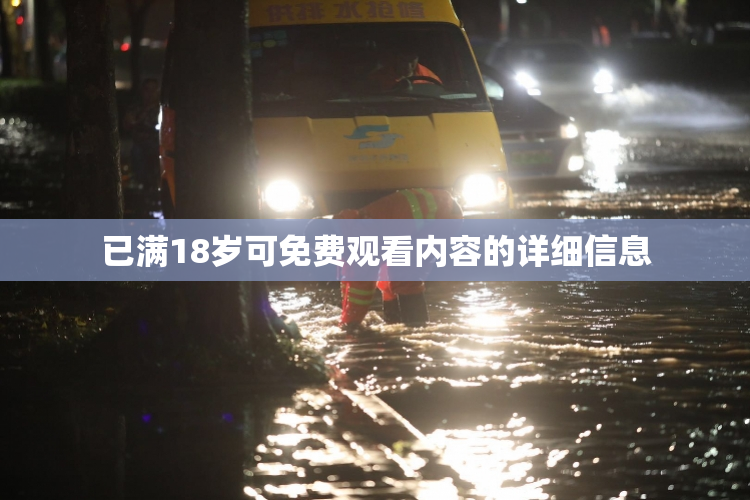 已满18岁可免费观看内容的详细信息