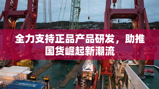 全力支持正品产品研发，助推国货崛起新潮流