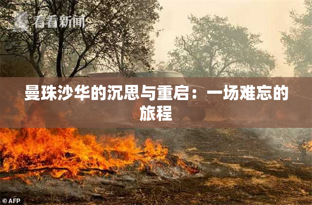 曼珠沙华的沉思与重启：一场难忘的旅程