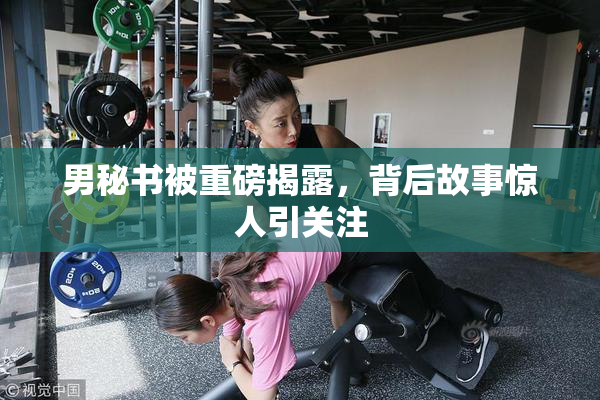 男秘书被重磅揭露，背后故事惊人引关注