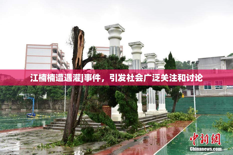 江楠楠遭遇灌j事件，引发社会广泛关注和讨论