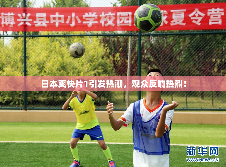 日本爽快片1引发热潮，观众反响热烈！