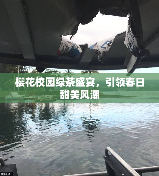 樱花校园绿茶盛宴，引领春日甜美风潮