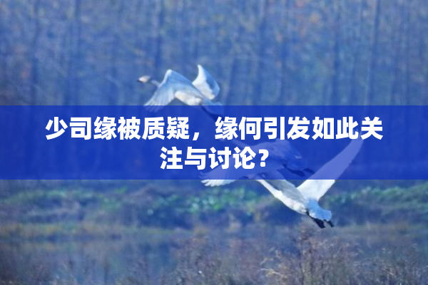 少司缘被质疑，缘何引发如此关注与讨论？