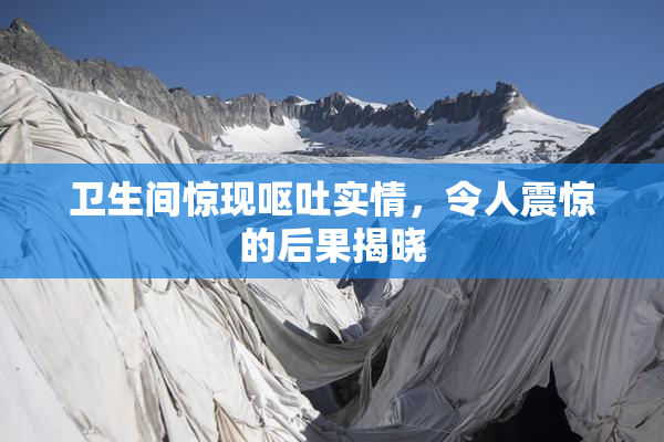 卫生间惊现呕吐实情，令人震惊的后果揭晓