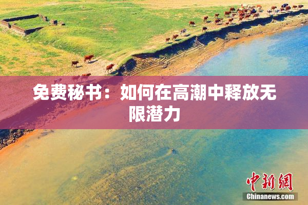 免费秘书：如何在高潮中释放无限潜力