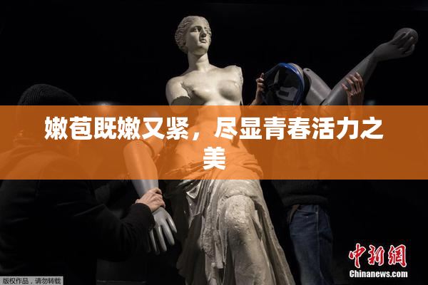 嫩苞既嫩又紧，尽显青春活力之美