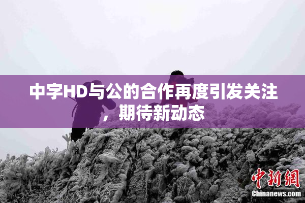 中字HD与公的合作再度引发关注，期待新动态