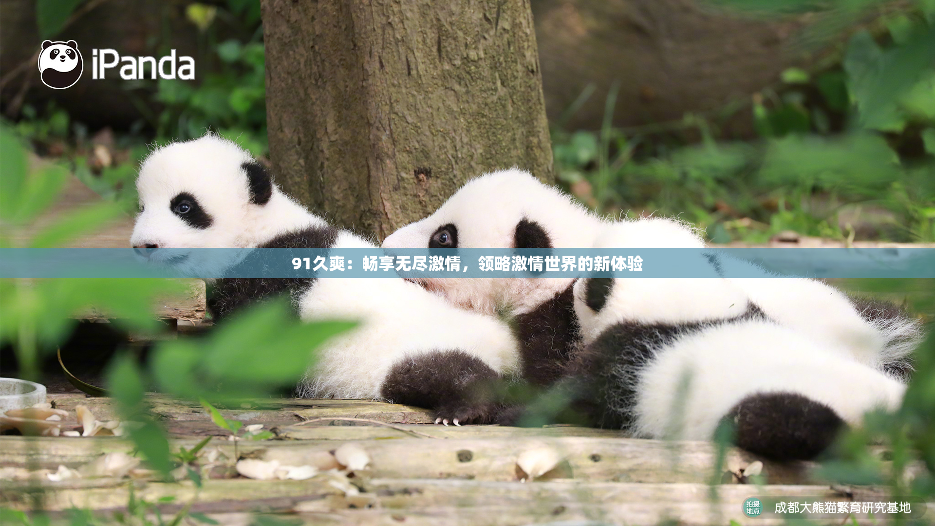 91久爽：畅享无尽激情，领略激情世界的新体验