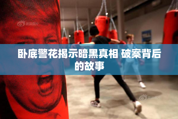 卧底警花揭示暗黑真相 破案背后的故事