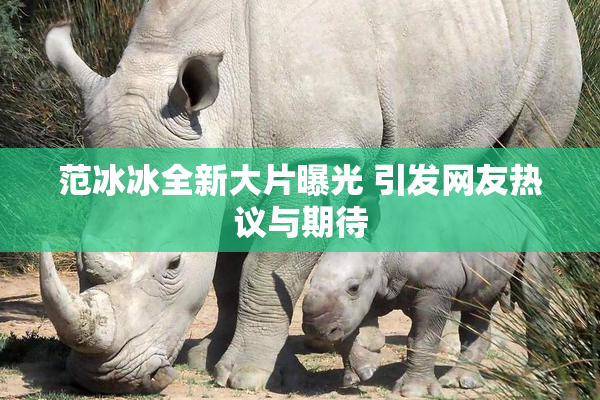 范冰冰全新大片曝光 引发网友热议与期待