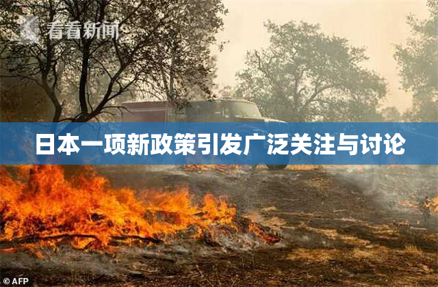 日本一项新政策引发广泛关注与讨论