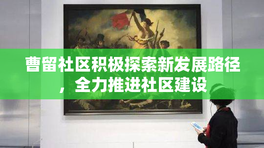 曹留社区积极探索新发展路径，全力推进社区建设