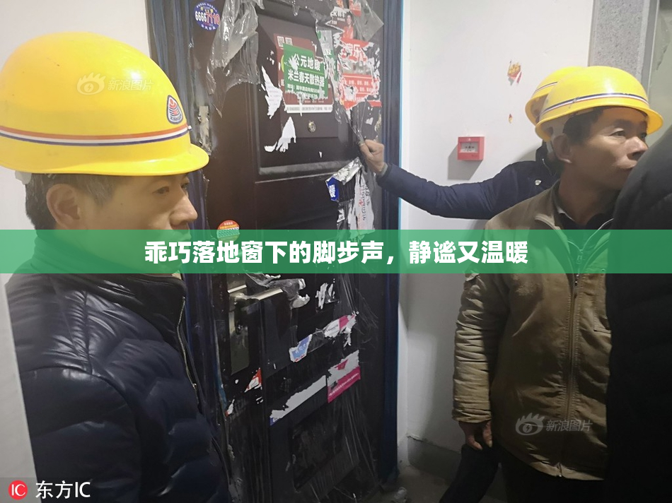 乖巧落地窗下的脚步声，静谧又温暖
