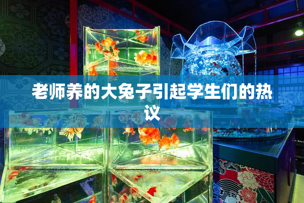 老师养的大兔子引起学生们的热议
