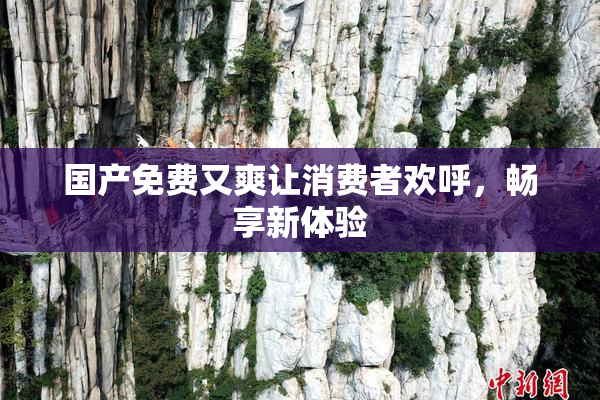 国产免费又爽让消费者欢呼，畅享新体验
