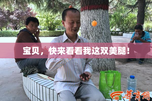 宝贝，快来看看我这双美腿！