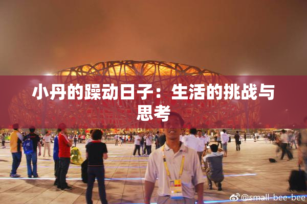 小丹的躁动日子：生活的挑战与思考