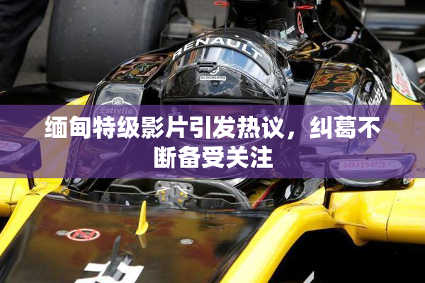 缅甸特级影片引发热议，纠葛不断备受关注