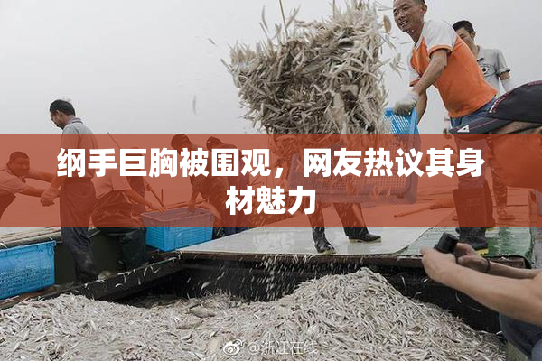 纲手巨胸被围观，网友热议其身材魅力