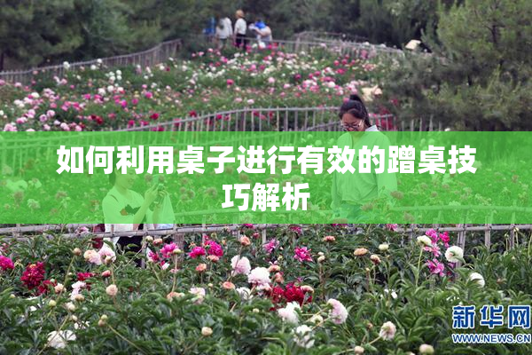 如何利用桌子进行有效的蹭桌技巧解析