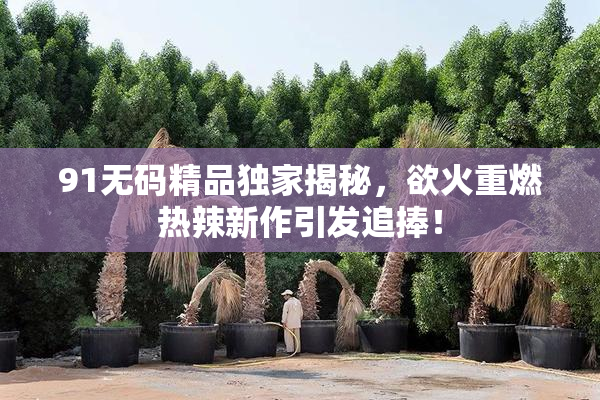 91无码精品独家揭秘，欲火重燃热辣新作引发追捧！