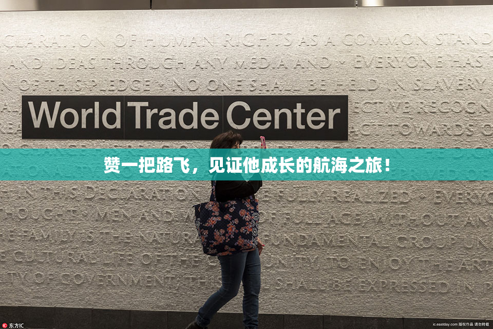赞一把路飞，见证他成长的航海之旅！