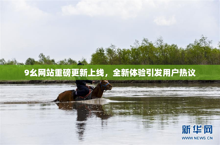 9幺网站重磅更新上线，全新体验引发用户热议