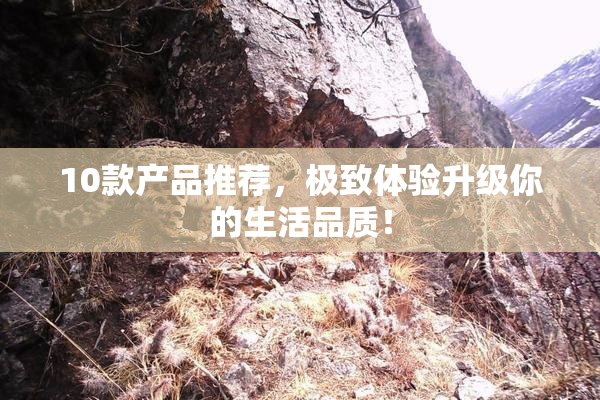 10款产品推荐，极致体验升级你的生活品质！
