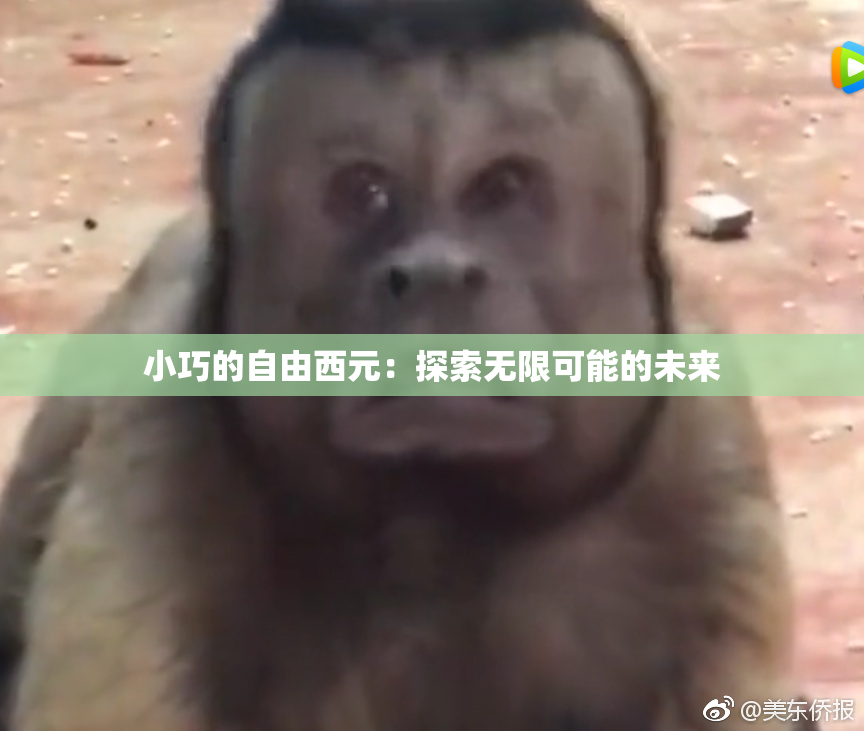 小巧的自由西元：探索无限可能的未来