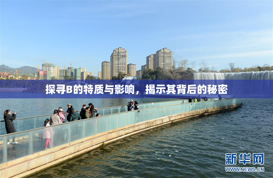 探寻B的特质与影响，揭示其背后的秘密