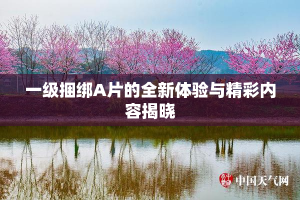 一级捆绑A片的全新体验与精彩内容揭晓