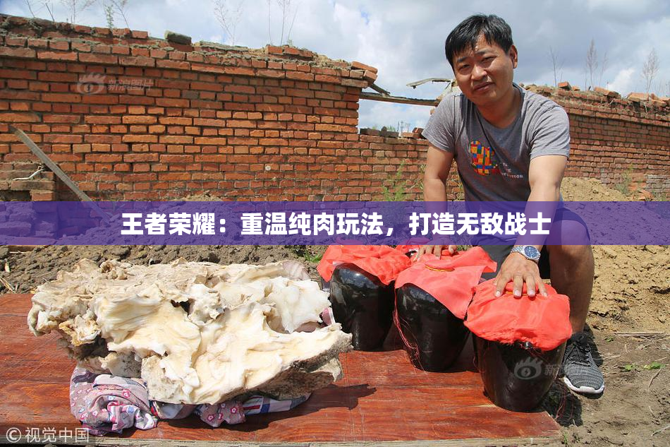 王者荣耀：重温纯肉玩法，打造无敌战士